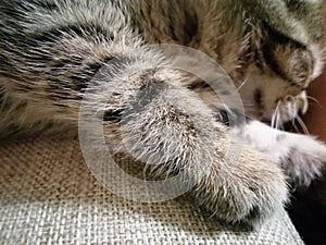 BEAUTIFUL Photo 2019