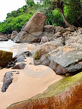 Beautiful photo of cliffs and palm trees at small beach in ocean lagoon