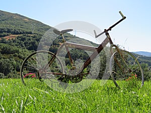 Beautiful photo of a rusty old bicycle and abused