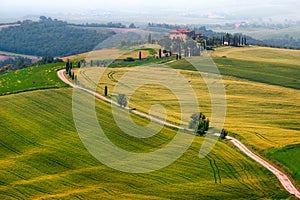 Wonderful misty Tuscany landscape with curved road and cypresses, Italy