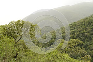 Beautiful photography of the natural panorama in Eritrea