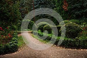 Beautiful photos of forests. Path in an amazing garden