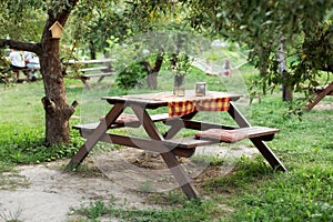 Beautiful picnic area with wooden table in summer garden. Resting place on park. Picnic place in Orchard at backyard. Wooden picni