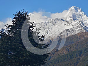 A beautiful picture of Annapurna Peaks, Poon Hill, Nepal