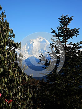 A beautiful picture of Annapurna Peaks, Poon Hill, Nepal