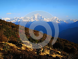 A beautiful picture of Annapurna Peaks, Poon Hill, Nepal photo