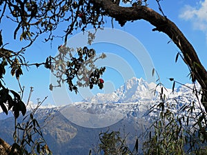 A beautiful picture of Annapurna Peaks, Poon Hill, Nepal photo