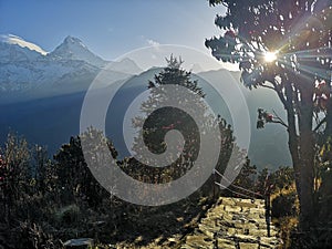 A beautiful picture of Annapurna Peaks, Poon Hill, Nepal photo