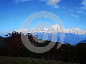 A beautiful picture of Annapurna Peaks, Poon Hill, Nepal photo