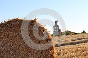 Beautiful picture of the field harvesting the grain photo