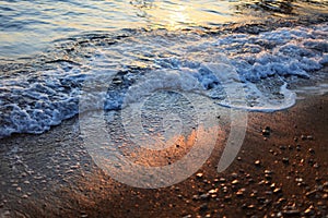 A beautiful picture of a sea wave with foam running onto the beach in the rays of the setting sun. Sea waves at sunset