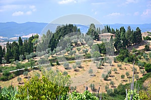 Beautiful picturesque landscape of countyside in Tuscany, Italy