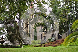 Beautiful picturesque wellgroomed park in the tropics with green trees. walk outdoors photo