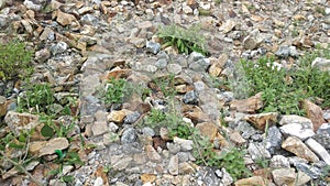 A beautiful pieces of stones