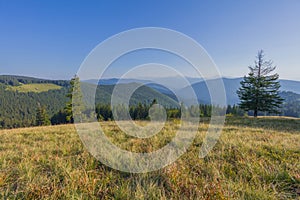 On a sunny summer day, the view from the plateau to the forest and mountains. Blue sky, lots of green grass and trees.