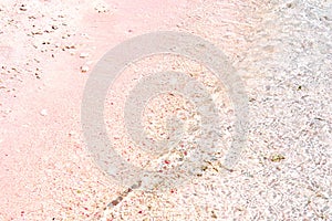 A beautiful Pink Beach and blue clear water from Komodo Island Komodo National Park, Labuan Bajo, Flores, Indonesia