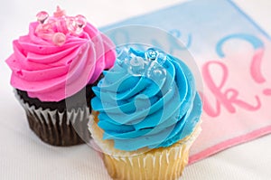 Beautiful Pink and Blue Muffins with Miniature Baby Bottles and Soothers