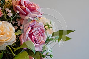 beautiful pink and cream rose flowers bouquet on white cement wall background, nature, copy space