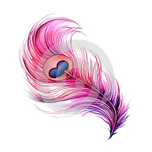 beautiful pink feather of a peacock clipart illustration