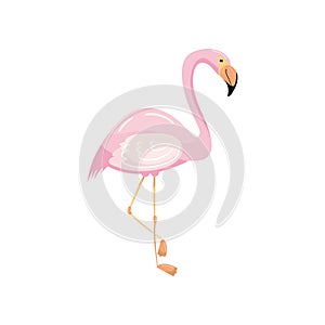 Beautiful pink flamingo, exotic tropical bird vector Illustration