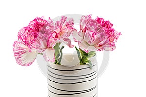 Beautiful pink flower in black/white vase on white background
