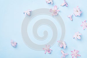 Beautiful pink flowers on blue background top view. Pastel colors. Flat lay style. Mother or woman day greeting card. photo