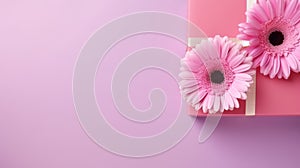 A beautiful pink gerbera daisy on a pink background. Perfect for Mother\'s Day,