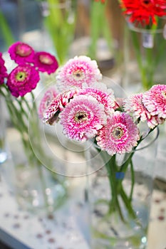 Beautiful pink gerbera flowers bouquet in glass vase at display on flower market for sale