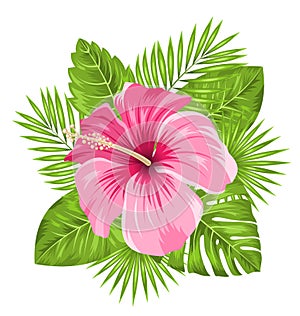 Beautiful Pink Hibiscus Flowers Blossom and Tropical Leaves