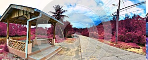 Beautiful pink infrared panorama of landscapes found on the Seychelles