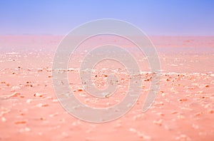 Beautiful pink lake background. salt crystals in the lake