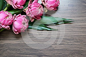 Beautiful pink lotus flower on wooden background