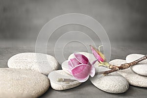 Beautiful pink magnolia flower on stones, concept of wellness spa treatments for the beauty of mind and body, massage