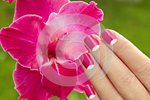 Beautiful pink manicure.