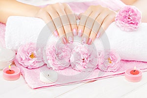 Beautiful pink manicure with tea rose on the white wooden table. spa