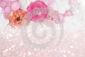 Beautiful pink,orange,white roses flower border glitter background