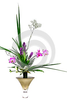 Beautiful pink orchids and green plants arranged in a elegant vase