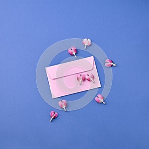 Beautiful pink Pacific Bleeding heart Dicentra formosa  flowers with kraft blue envelope on blue background with space for text.