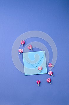 Beautiful pink Pacific Bleeding heart Dicentra formosa  flowers with kraft blue envelope on blue background with space for text.
