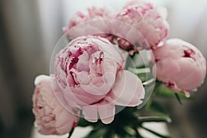 Beautiful pink peonies bouquet on gray background