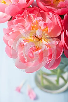 Beautiful pink peony flower bouquet in vase