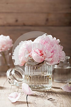 Beautiful pink peony flowers bouquet in vase
