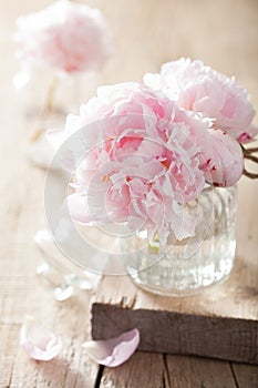 Beautiful pink peony flowers bouquet in vase