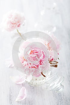 Beautiful pink peony flowers bouquet in vase