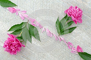 Beautiful pink peony flowers on white table with copy space for your text. top view and flat lay romantic concept.