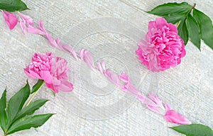 Beautiful pink peony flowers on white table with copy space for your text. top view and flat lay romantic concept.