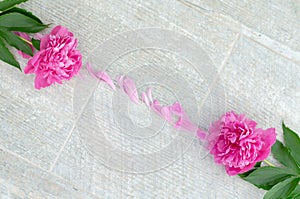 Beautiful pink peony flowers on white table with copy space for your text. top view and flat lay romantic concept.