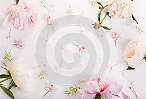 Beautiful pink peony flowers on white table with copy space for your text top view and flat lay style