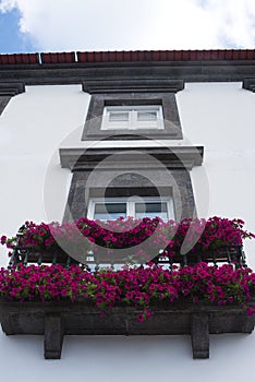 Beautiful pink petunias on the balcony. Flower arrangement and decoration of the balcony with flowers.