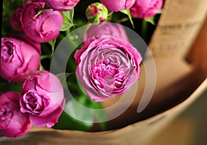 Beautiful pink pion-shaped rose.Bouquet Shrub roses